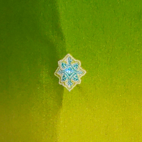 Green Silk Iridescent 3 Piece Top, Wrap Skirt & Bag - Picture 10 of 14